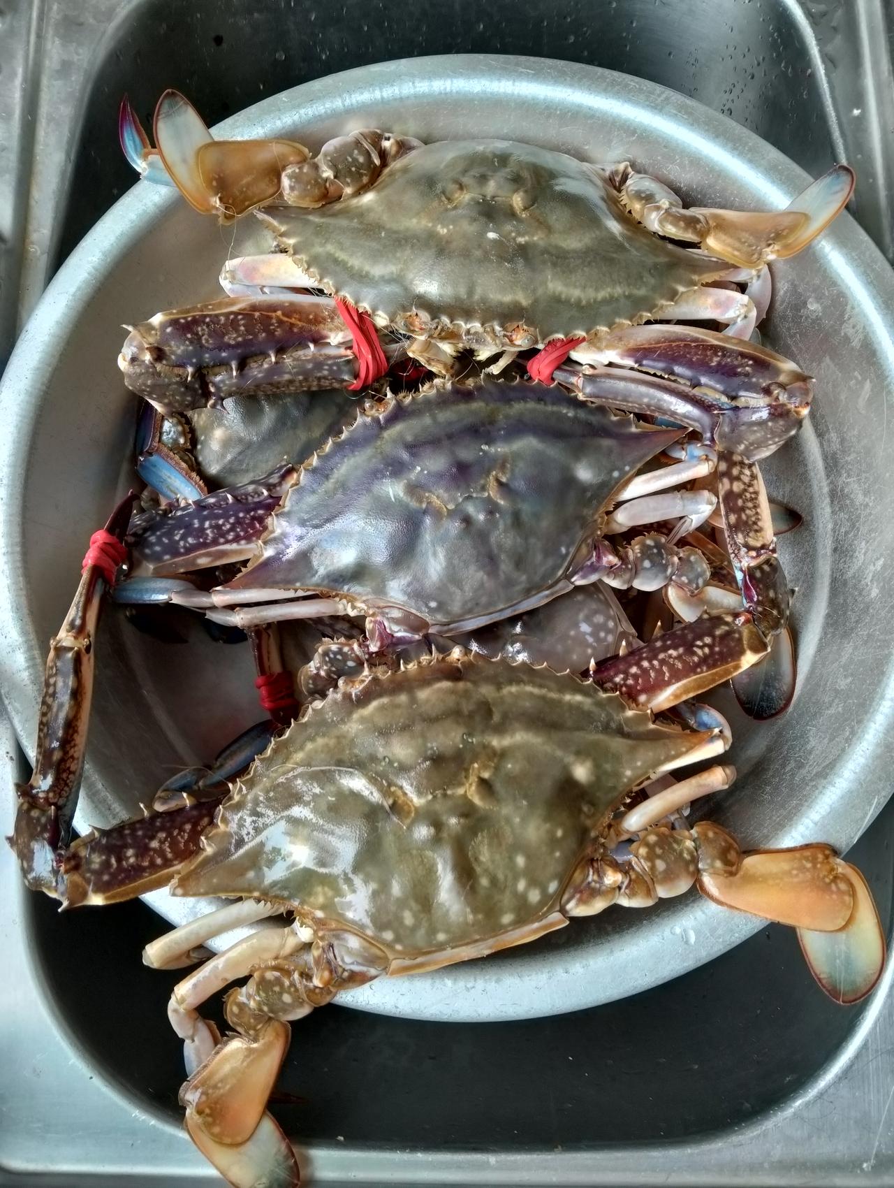 有谁有治疗胃胀气的好方法，帮助我解除烦恼。我从2021年以来，吃不容易消化食物