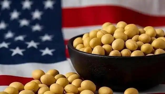 谁更离不开谁？美国大豆为什么非要卖给中国？其实，站在美国的角度，三年不卖给中国大