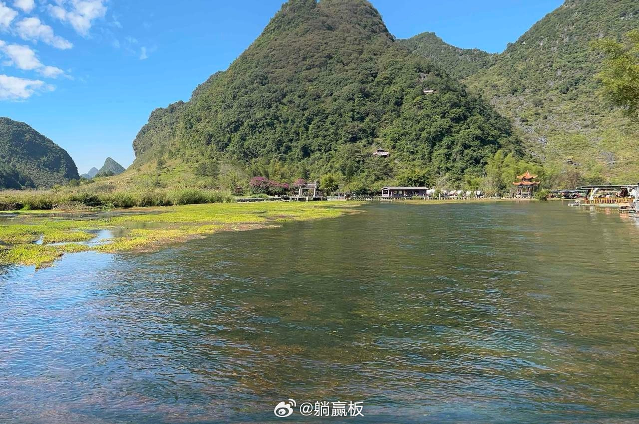 热门情绪股解析:天赐材料：电解液龙头，全球领先金发科技：改性塑料，行业翘楚