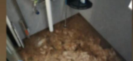 “天都塌了!”广东深圳，女子花费921万元购买了一套新房，谁知他们一家入住不到半