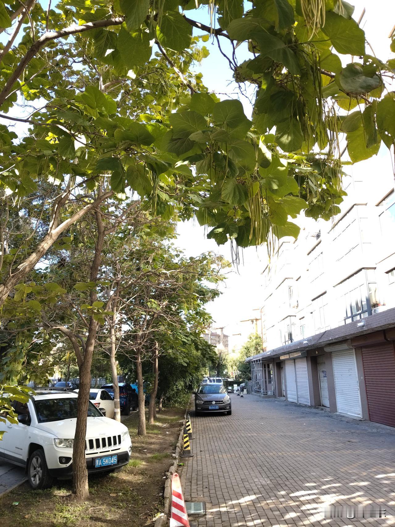 星宇股份裁员事件之所以引发争议，最主要的问题是:第一，毁掉了应届毕业生的应