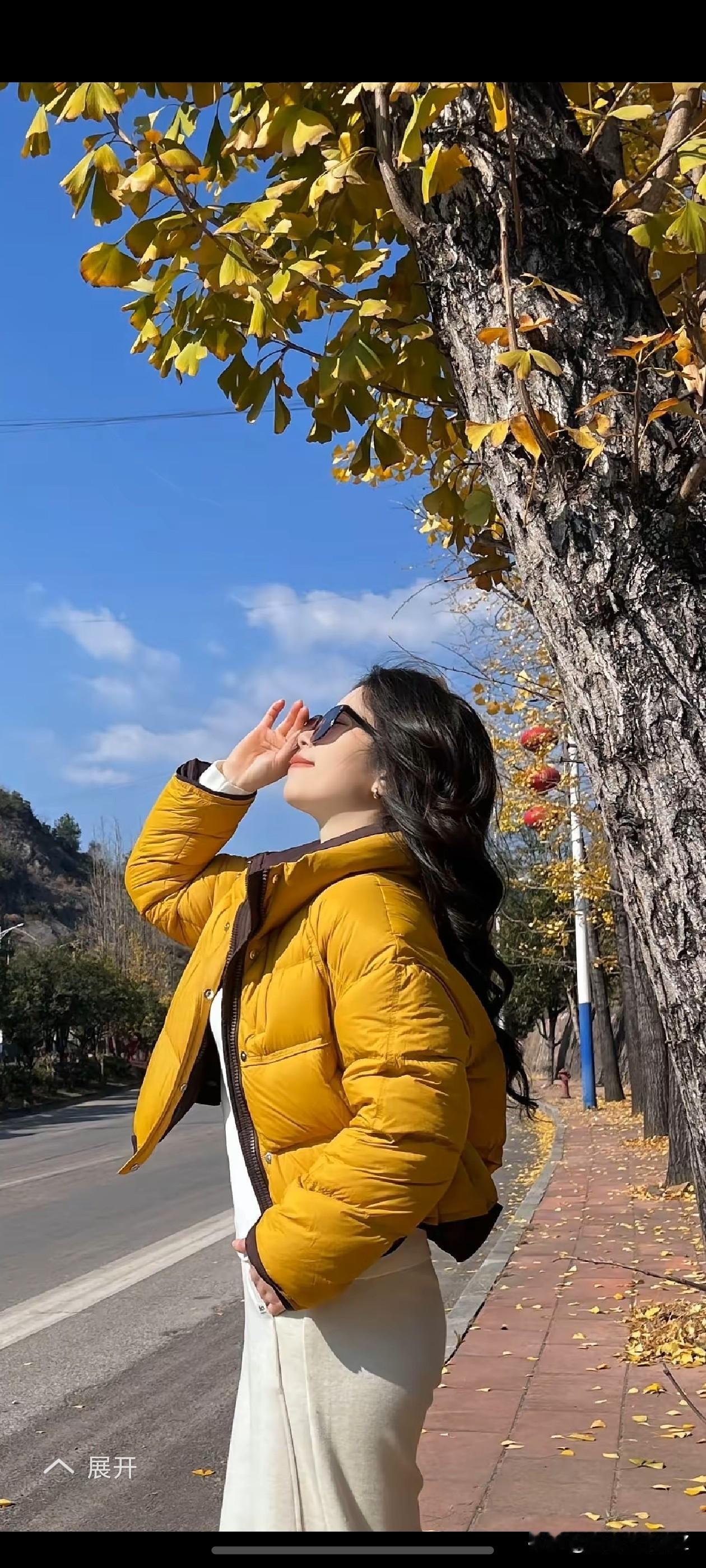 秋日里的一抹金黄