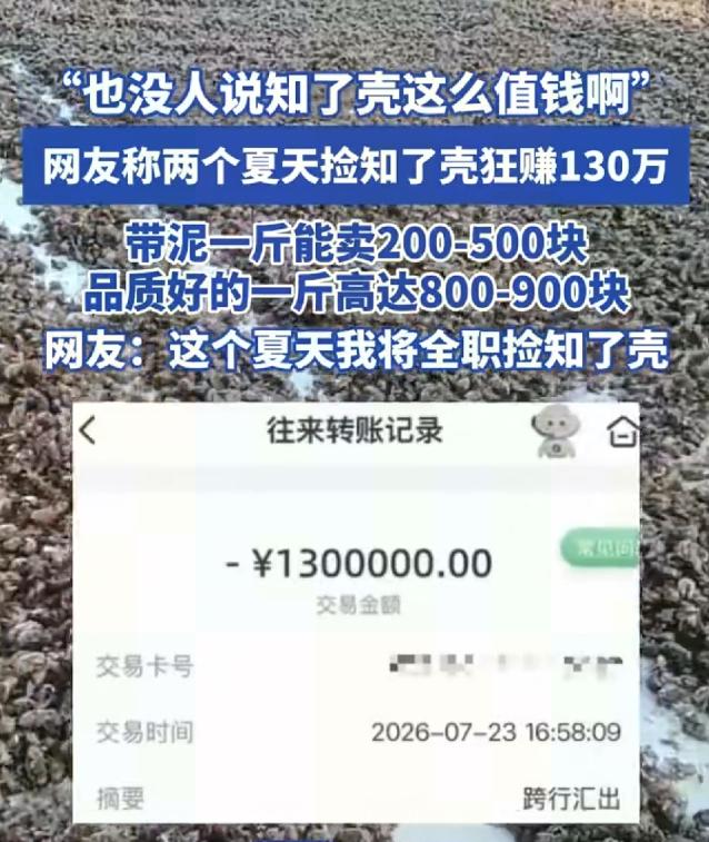 说实话，我也动过辞职捡知了壳的念头。刷到那条"两夏天130万"的视频，我正在公