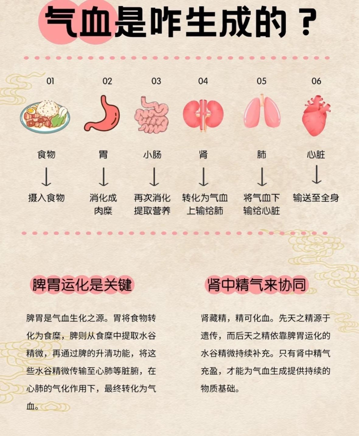 气血是怎么生产的
