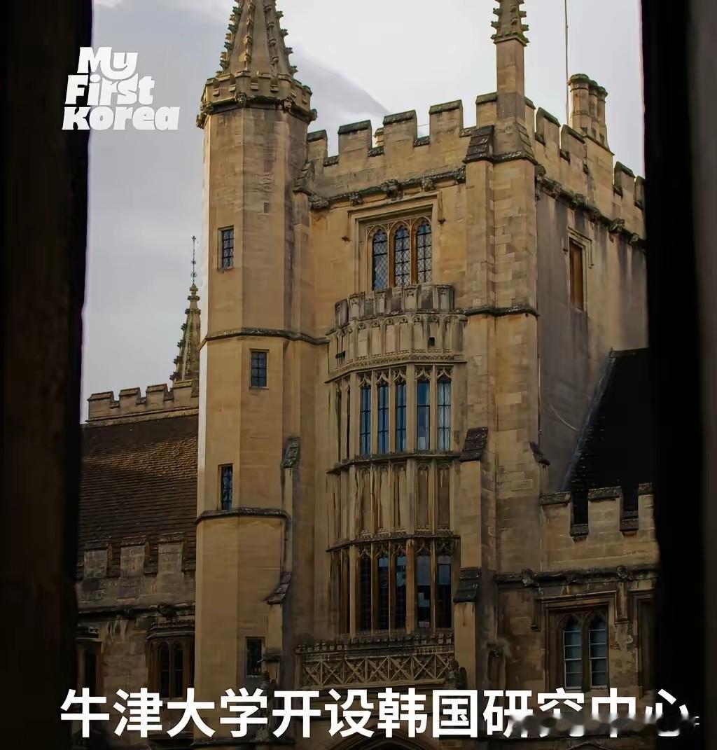 是不是给钱了！牛津大学将开设韩国研究中心，2026年10月启动。发现这些外