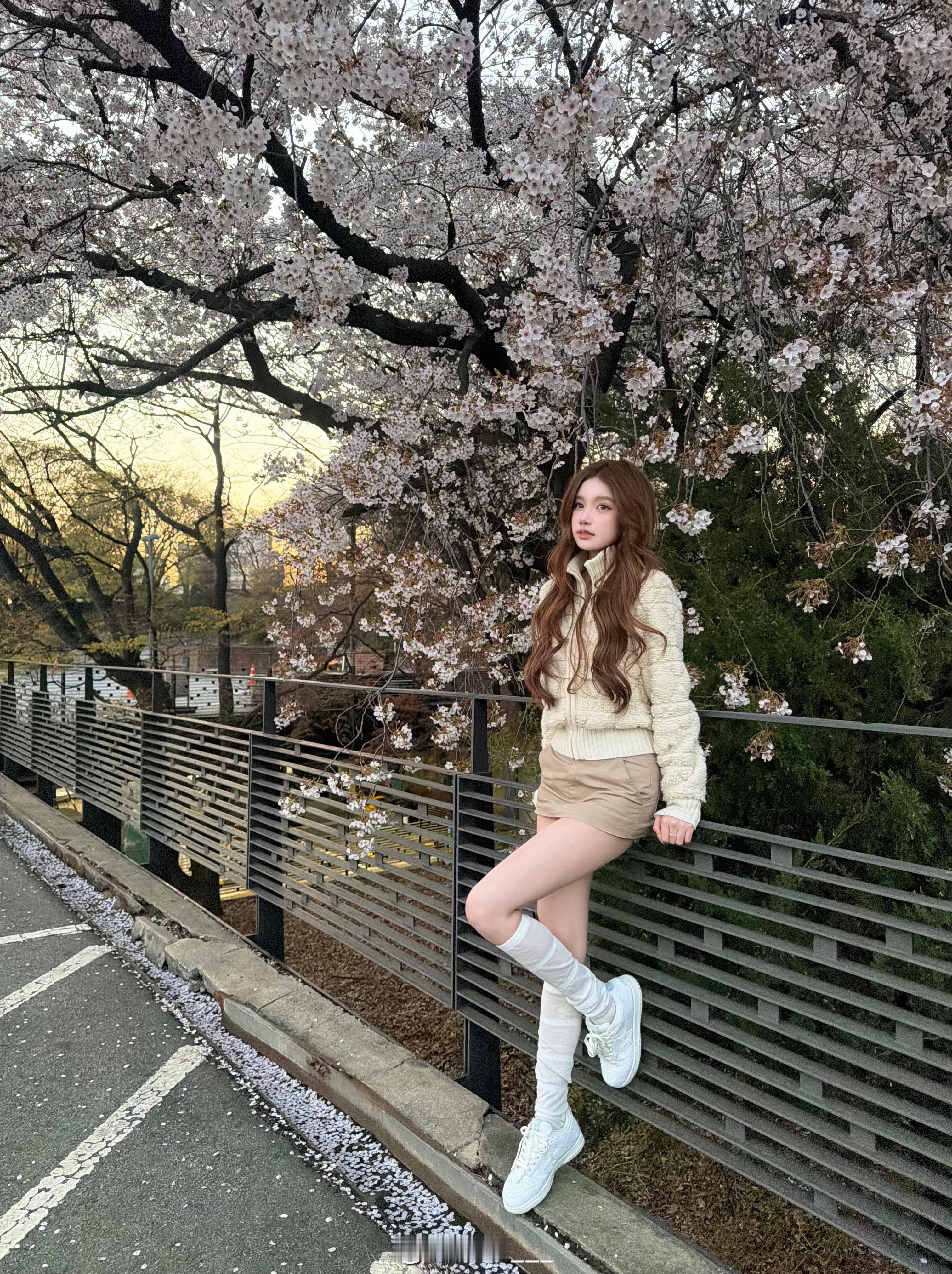 𝐒𝐚𝐤𝐮𝐫𝐚🌸韩国·Seoulkorea