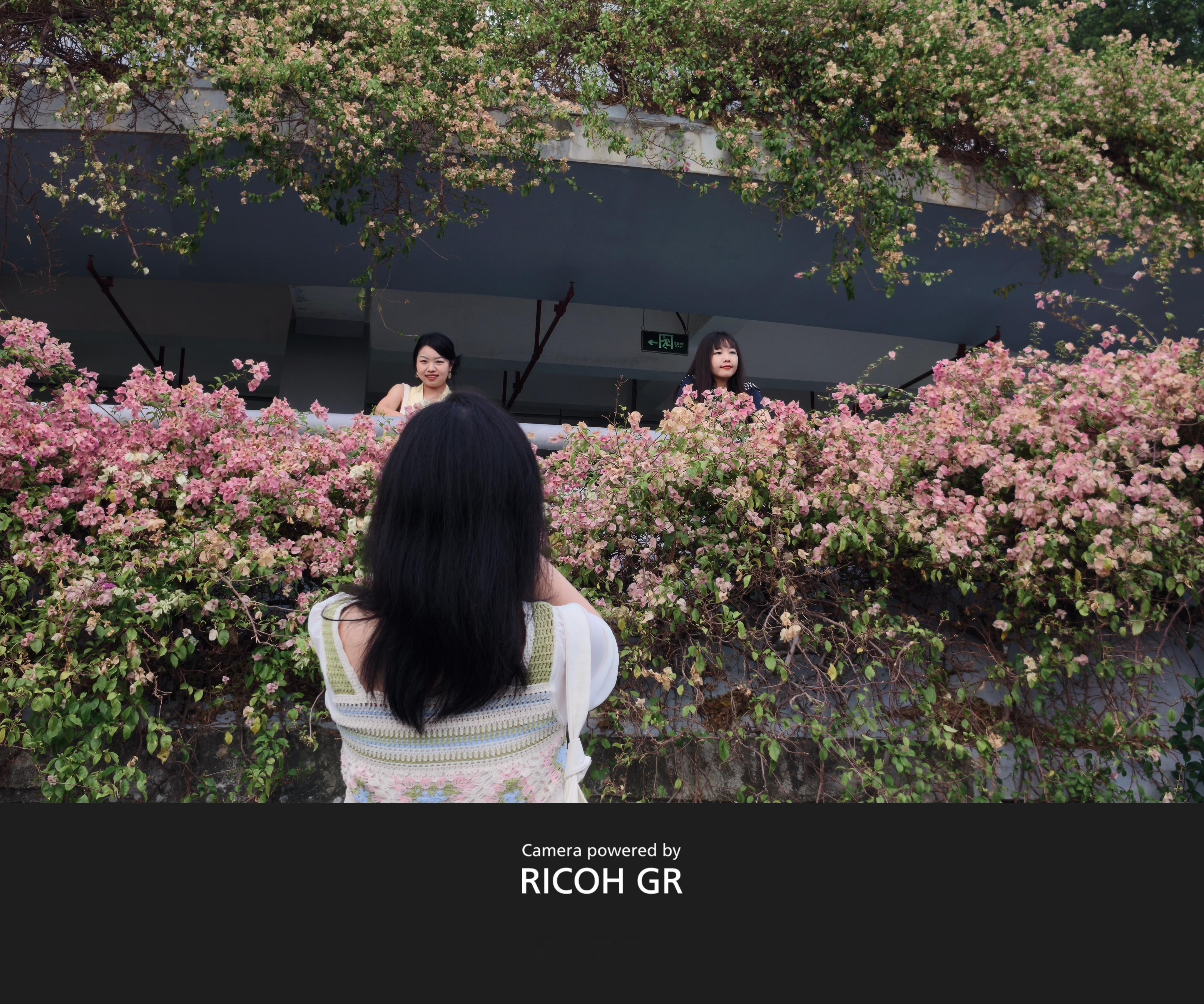 没想到真我GT8Pro靠着理光GR味儿挤进了影像旗舰，这机器日常拍照是真出片，