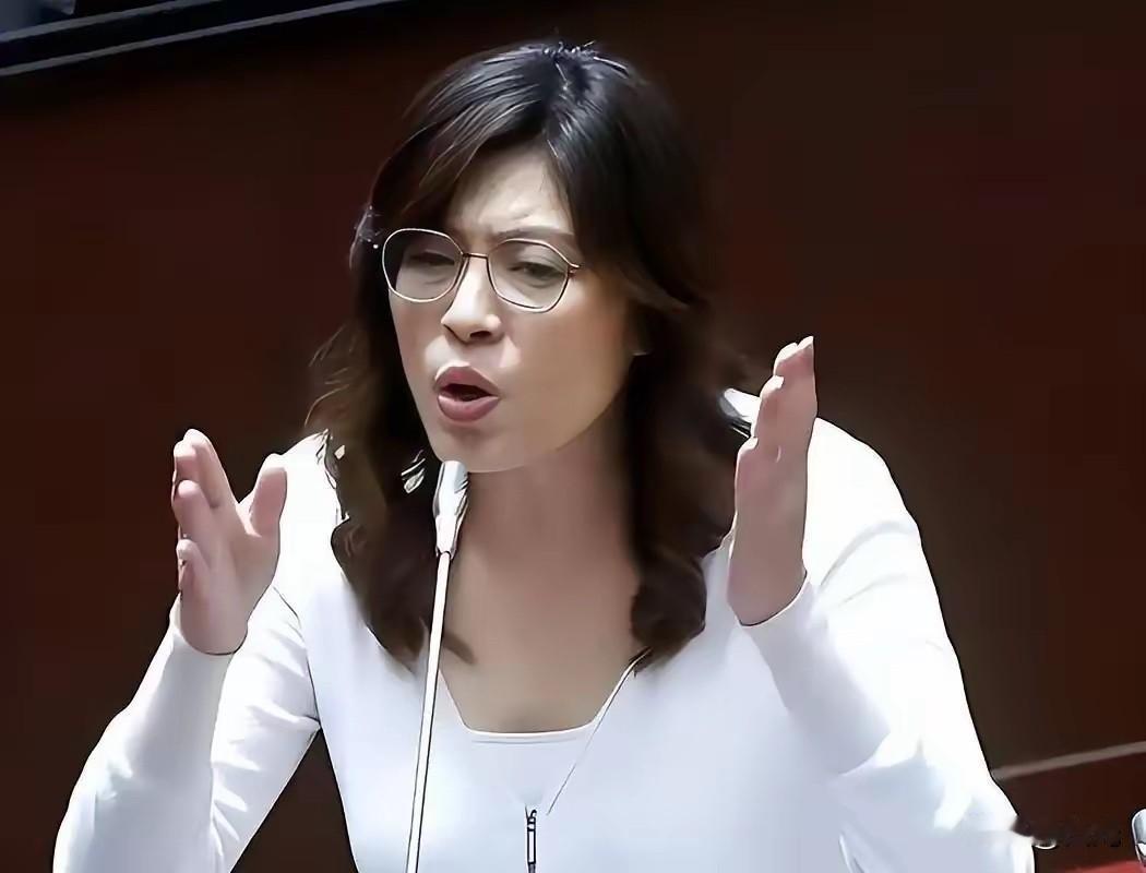 5月17日，中国国民党正式召开记者会，国民明确指出：特朗普已经明明白白把对台军售