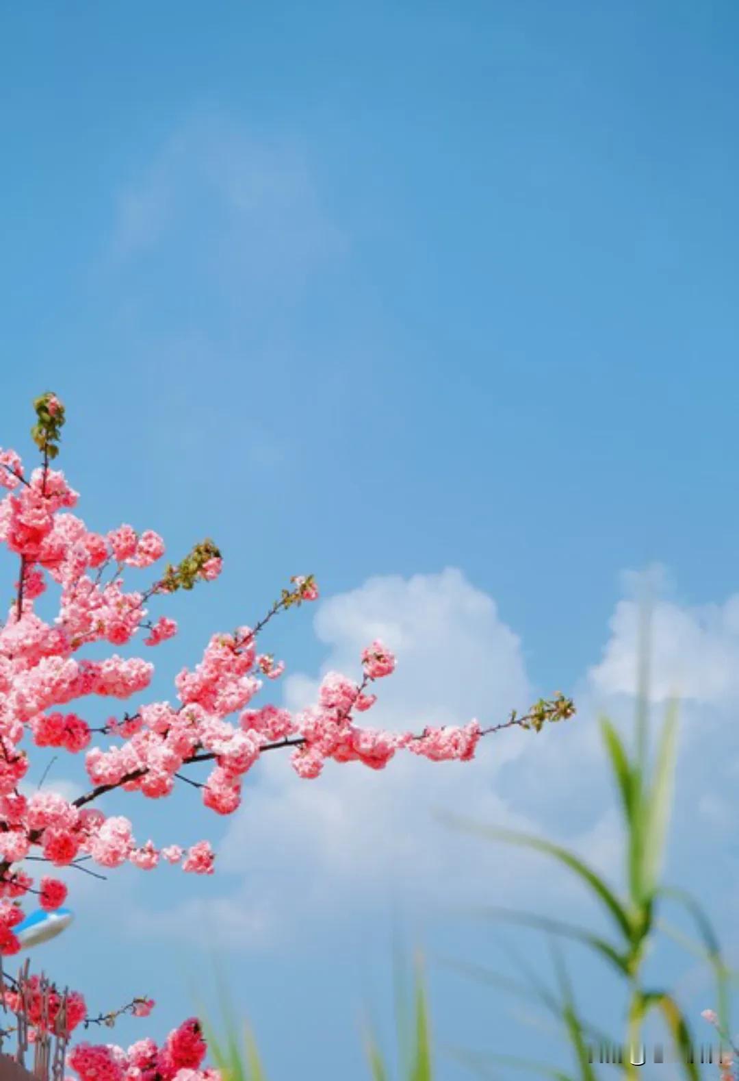 当有人不尊重你时，记住8个字你就赢了！1、不争：做好自己。人活一世，不管