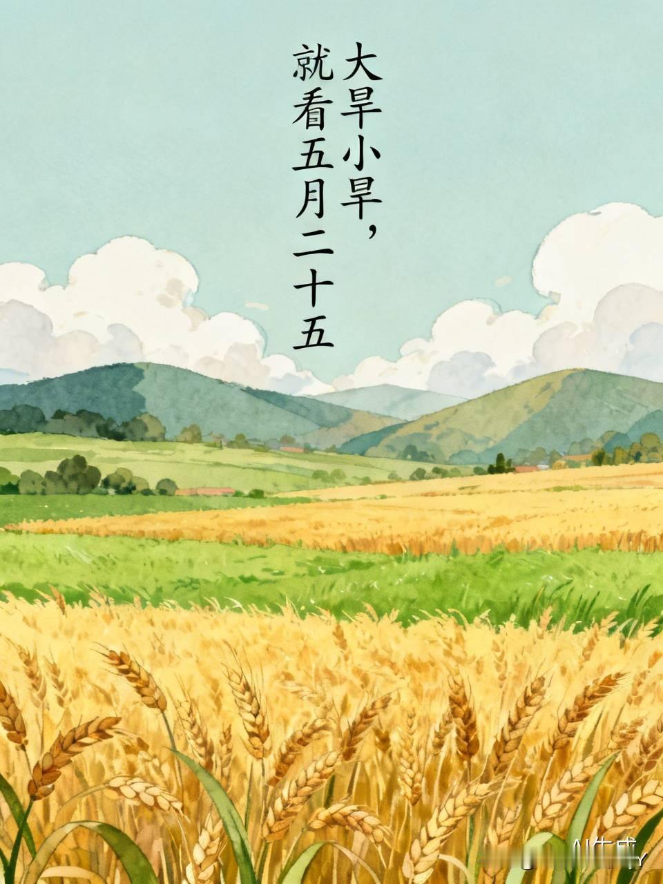 今天是五月二十五民间俗语有1.大旱小旱，瞅准五月二十五这天雨水像个“旱情指