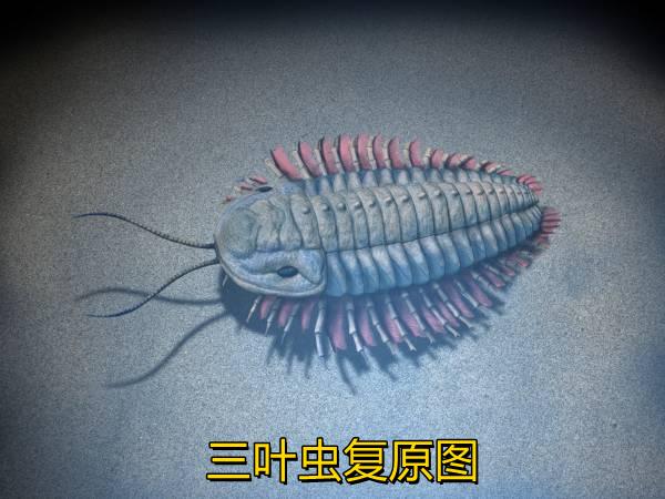 提到远古灭绝生物，除了最出名的恐龙，其次就是三叶虫了吧，它们在地球上生存了近3亿