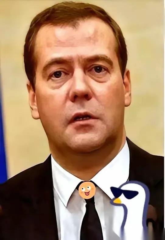 梅德韦杰夫说“对欧洲没野心”，俄军导弹却在乌克兰画