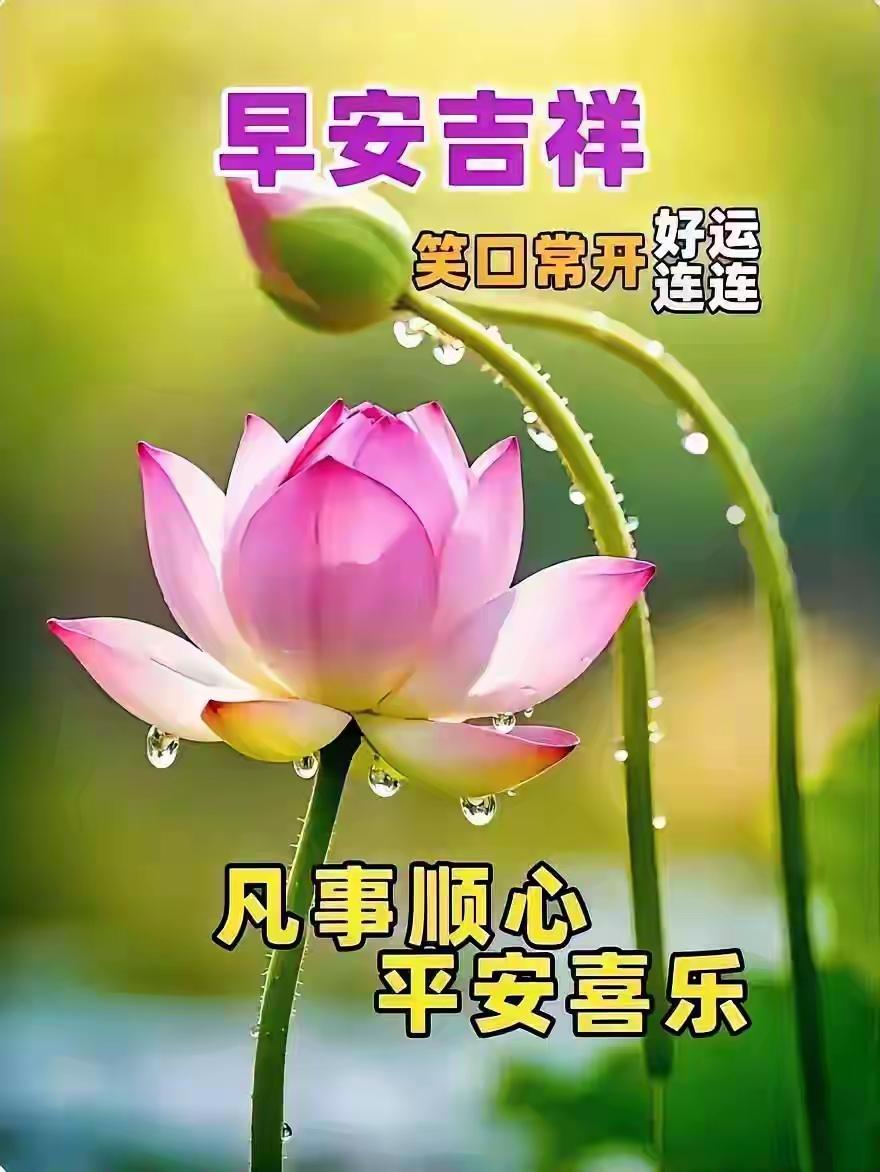 2026年8月25日，周二，七月十三，早安！夏尽秋来，浅秋初至，四季的轮转总是带