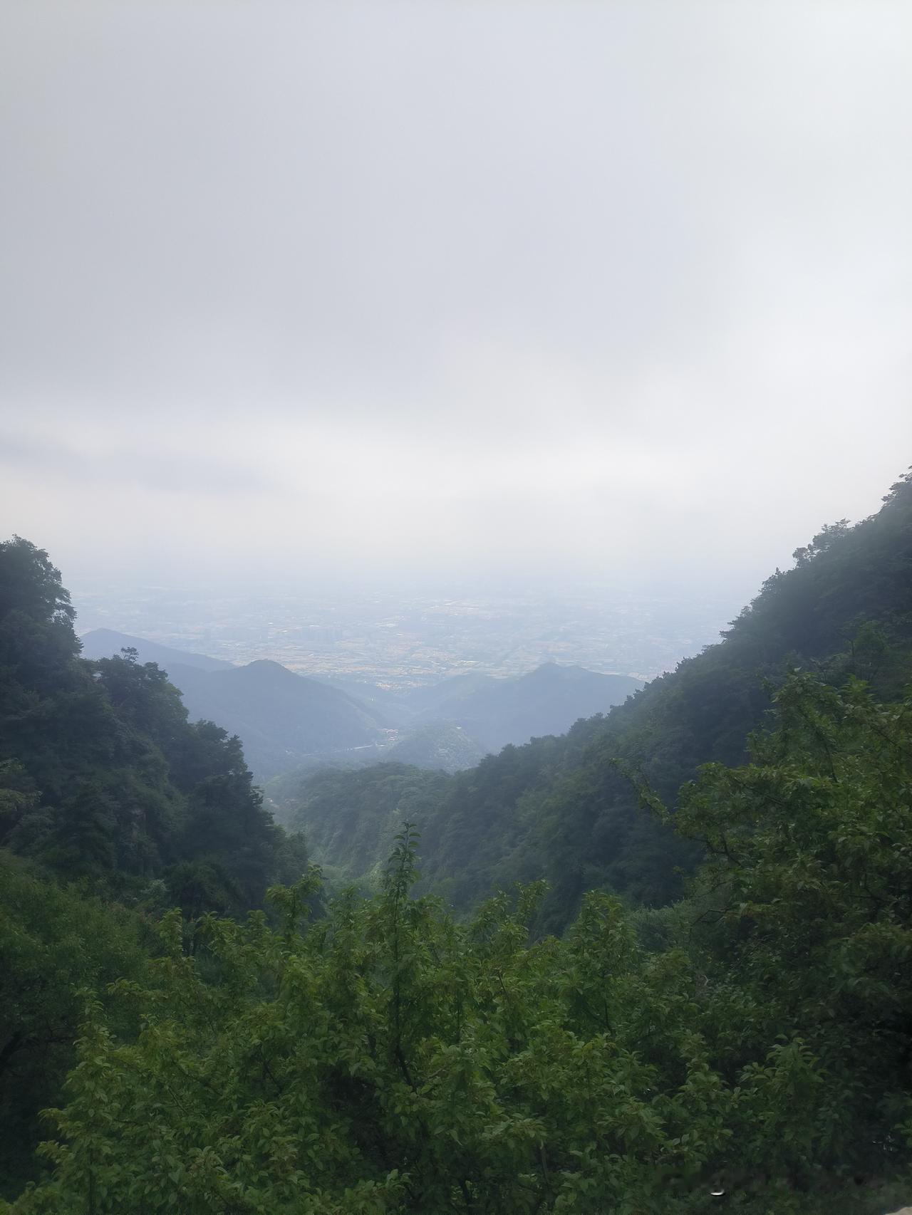 近日，我的一位广州的朋友很是苦恼，关于他儿子婚姻的苦恼。是这样的。他今年