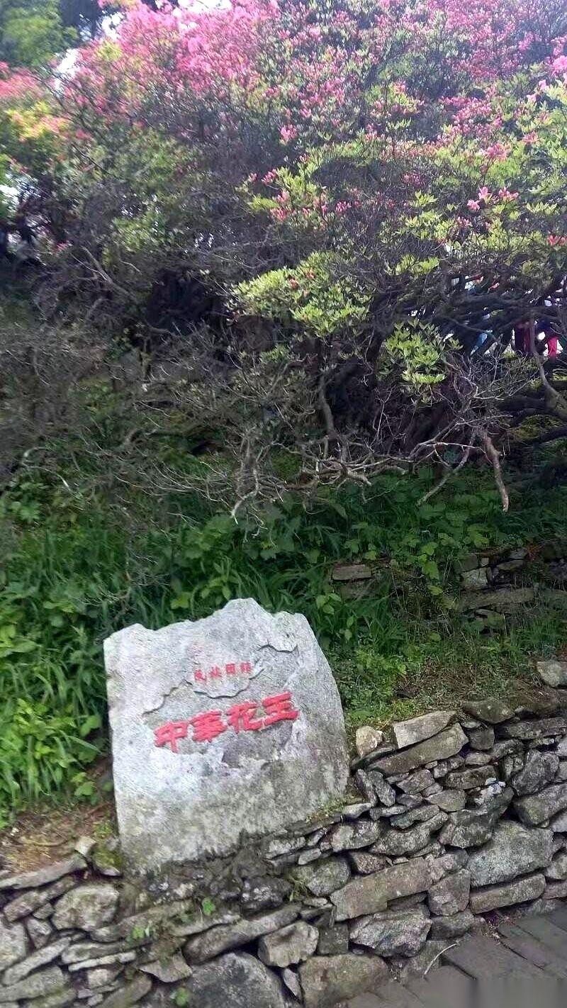 我跟你说，什么叫“人走茶不凉”？我表哥，前脚刚办完退休手续，后脚好几个私立学校