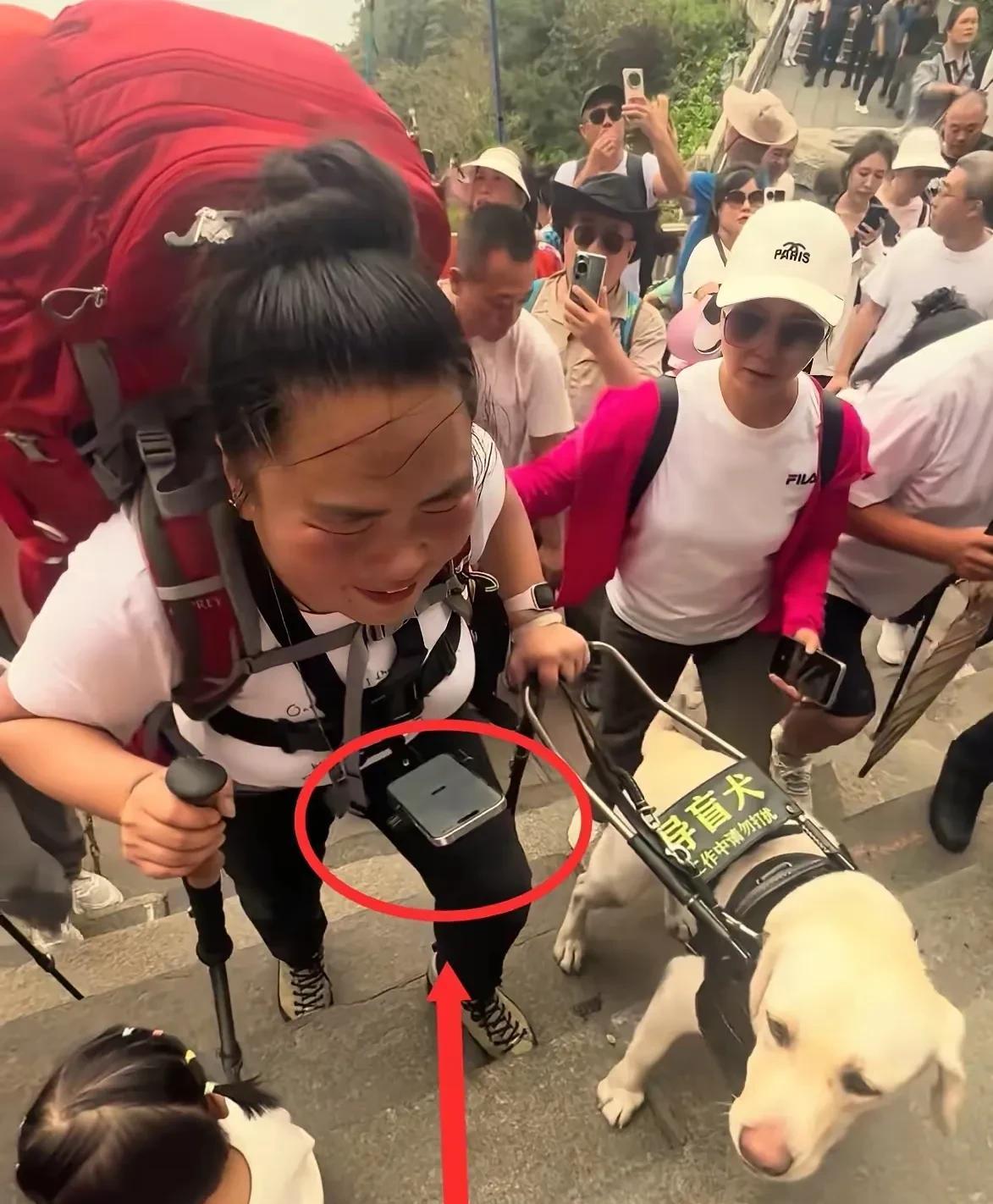 盲人夫妻带导盲犬“芬迪”爬山那事，我觉得舆论对待那俩口子过于苛刻，不近人情！首先