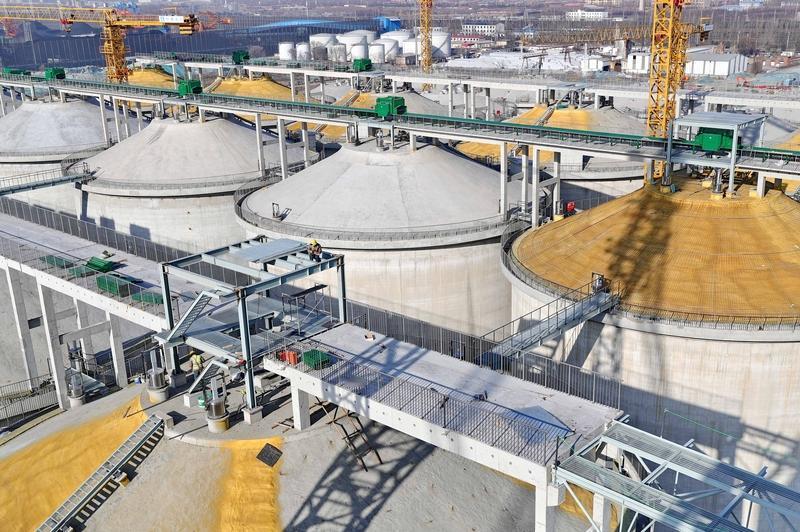 中储粮平仓机器人来了！大国粮仓彻底变天，中国人饭碗更稳了你敢信吗？以前粮仓