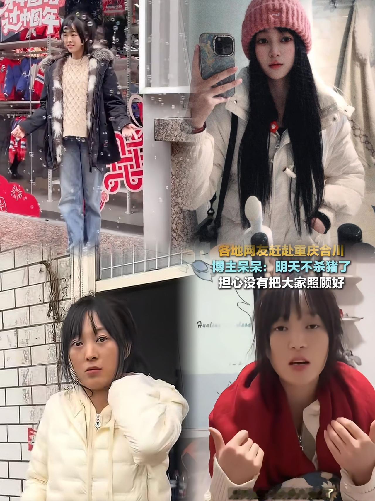 你可以说呆呆猪情商低也可以说她没脑子但是，唯独有一点，你不得不承认的是，她是