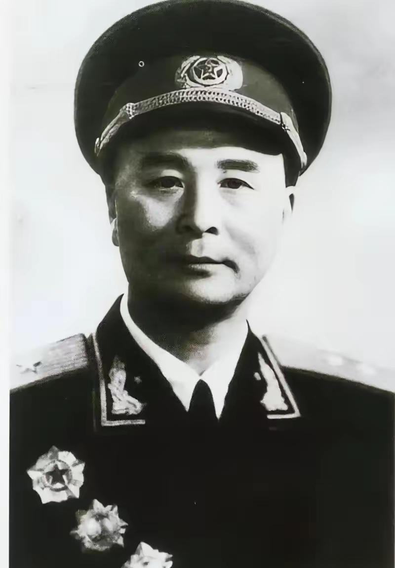 1936年，深山里，大娘正摘野果，忽见苍蝇围着草丛嗡嗡转。扒开一看，竟躺着个血肉
