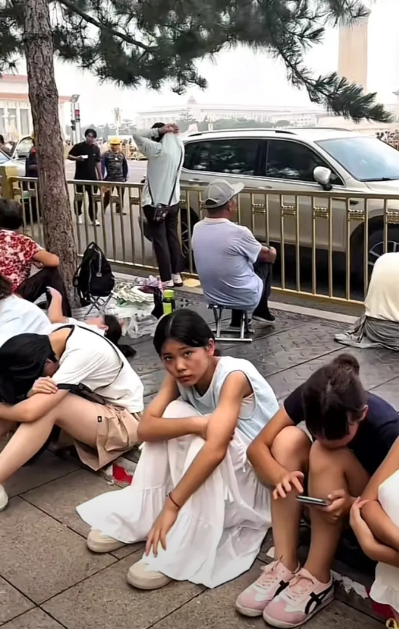 他们这是图个啥？