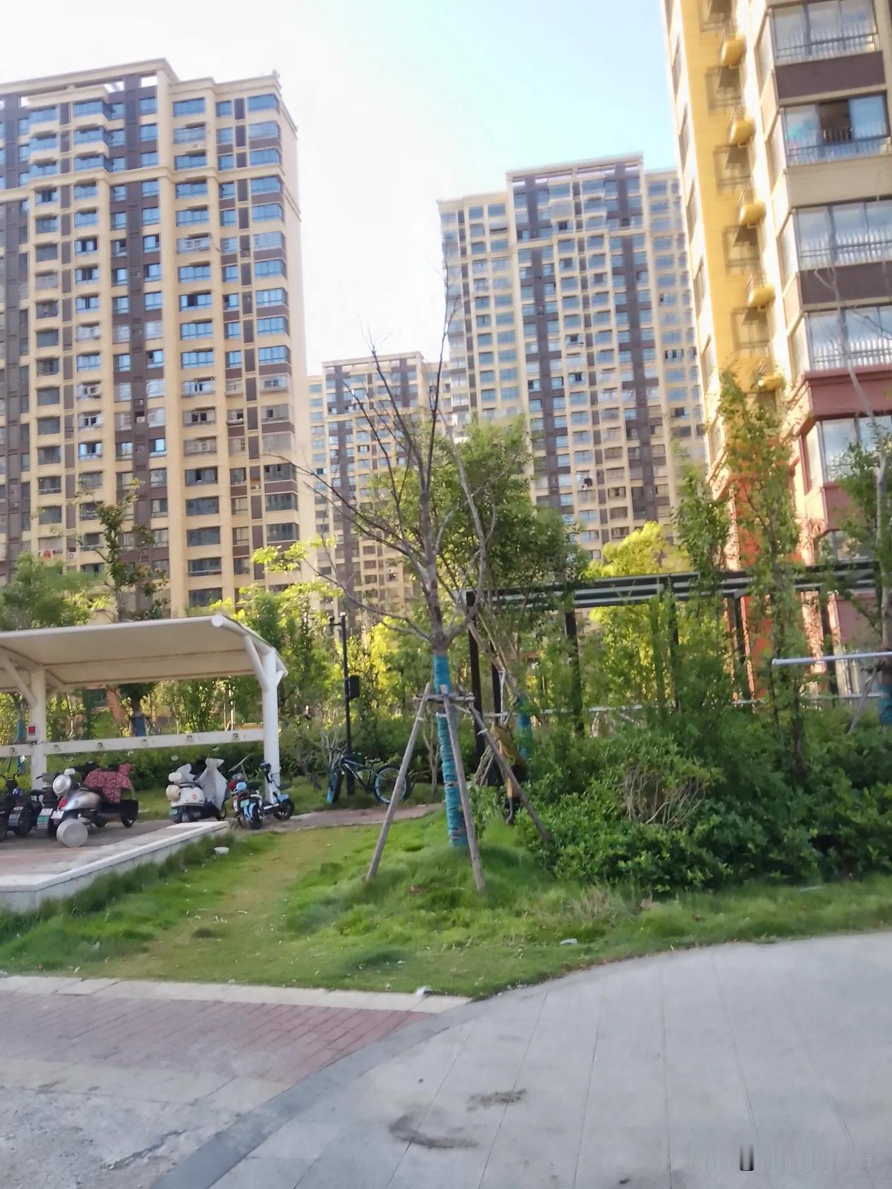 老公的一个远房亲戚被蜱虫咬了，到县医院，医生说：快送南京吧！家人紧急送往南京大医