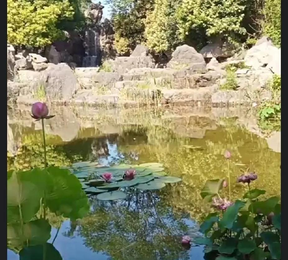 新动态：这样神奇的一幕可不是出现一次啦！有时候你不得不信，举头三尺有神明大家这