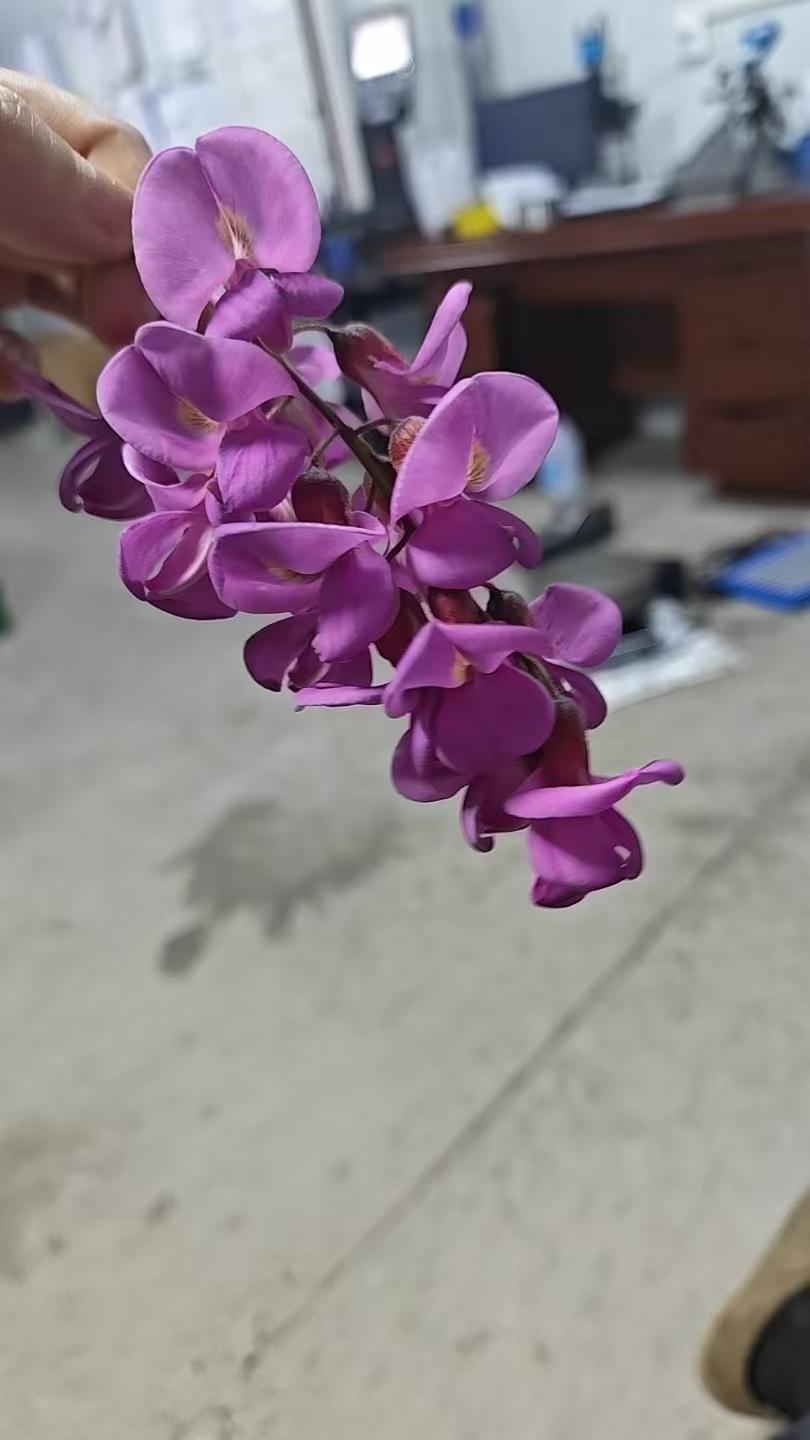 我找出了之前拍的一张花照。那是一个春日，我到公园漫步，一入园便被那片花林吸引住了