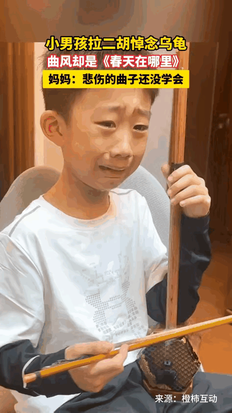 笑死我了！这事直接火到新华社，又好笑又暖心！辽宁沈阳一个小男孩，家里的小乌龟因为