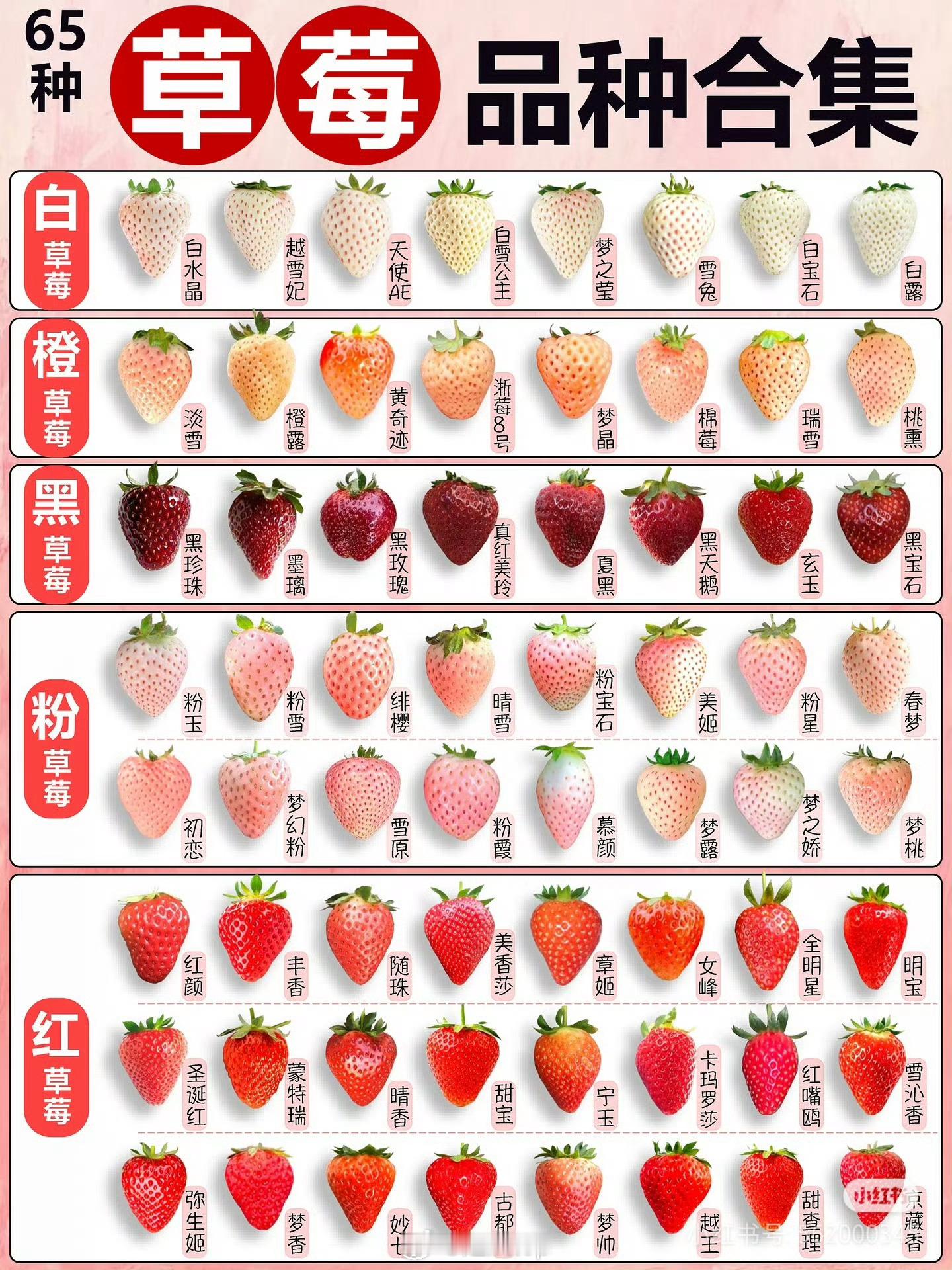 我吃过最好吃的草莓就是小时候去山上摘的野草莓，酸甜味的，但草莓的香味儿可浓了，回