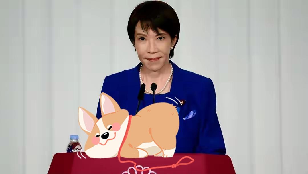 果不其然日本正式宣布了11月19日，日本共同社援引多方消息证实，日本政府已