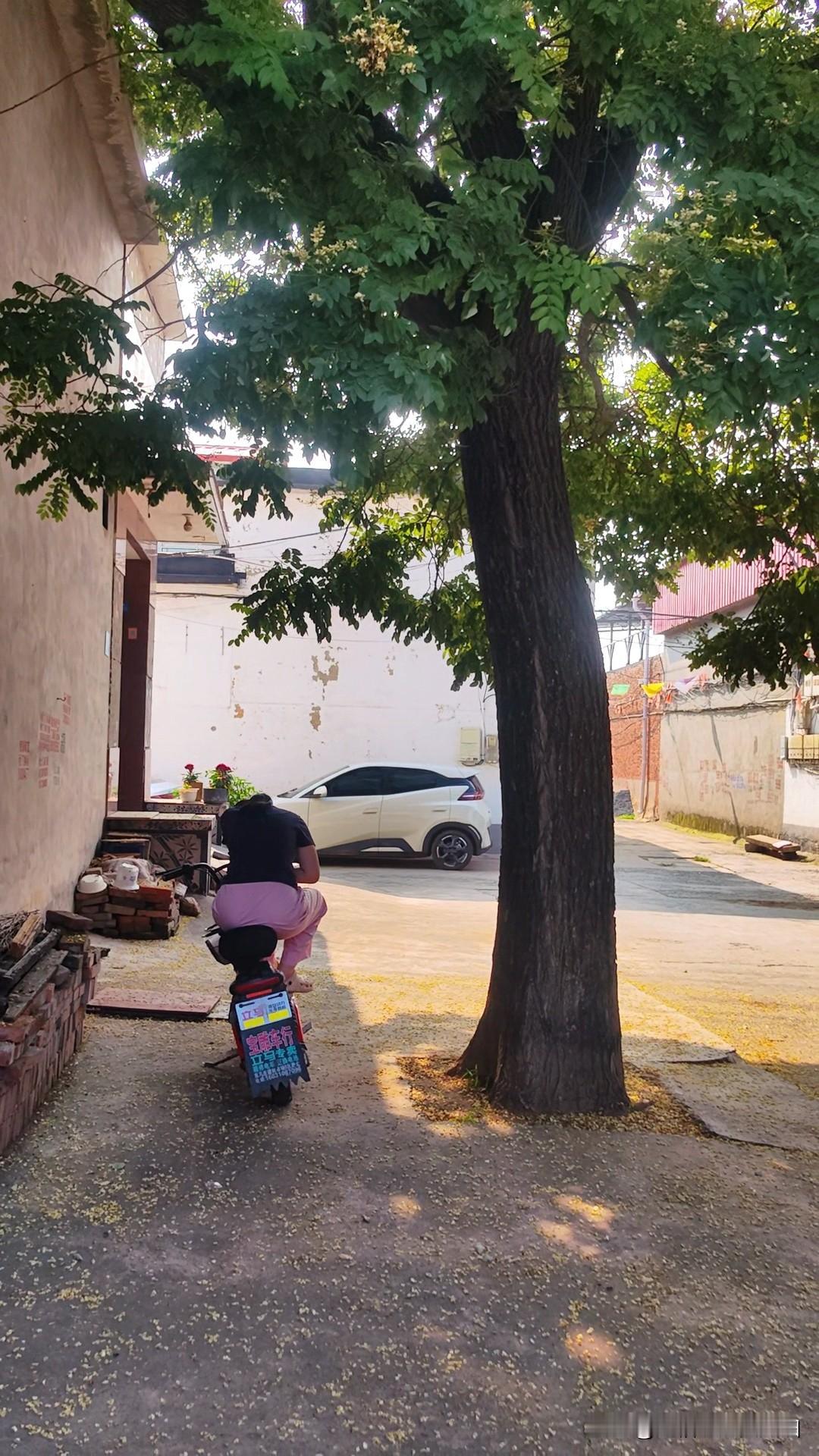 今天骑车带着闺女去看望妈妈，到家门口，闺女先下车，拧了拧街门，门锁着，我说你姥姥