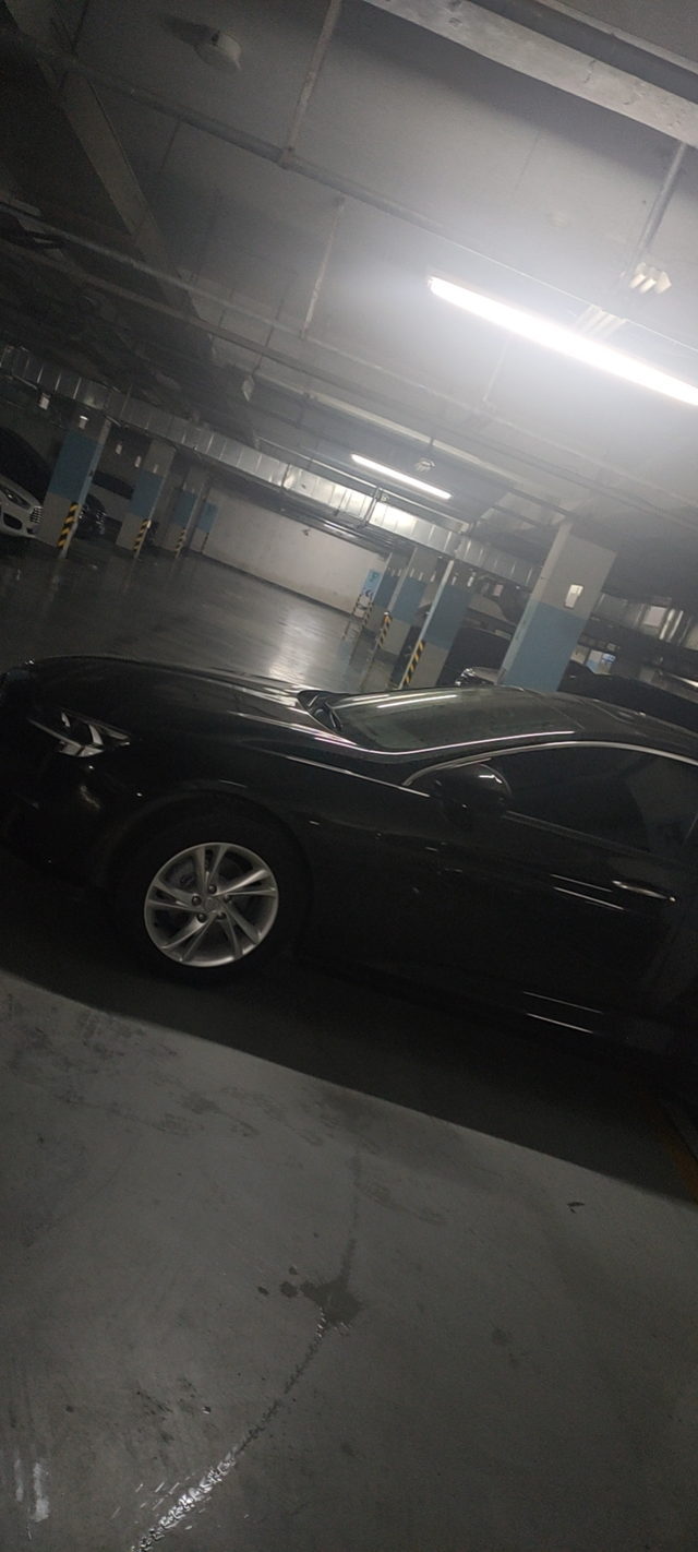 两年的君威打不着火了听歌时突然熄火，再启动多次不成功，保险的人说是油路问题，我