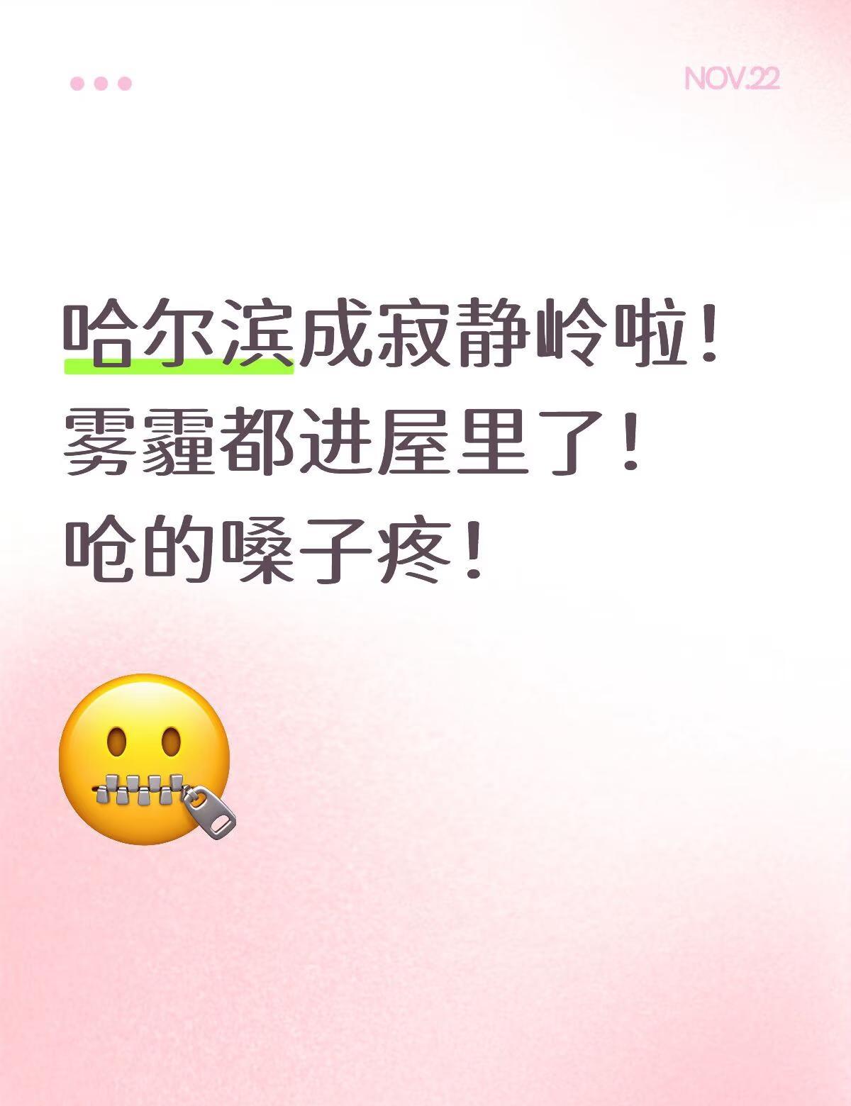 哈尔滨成寂静岭了上午十点多出去的时候天还能看见蓝色，稍微有点呛鼻子！中午在家做