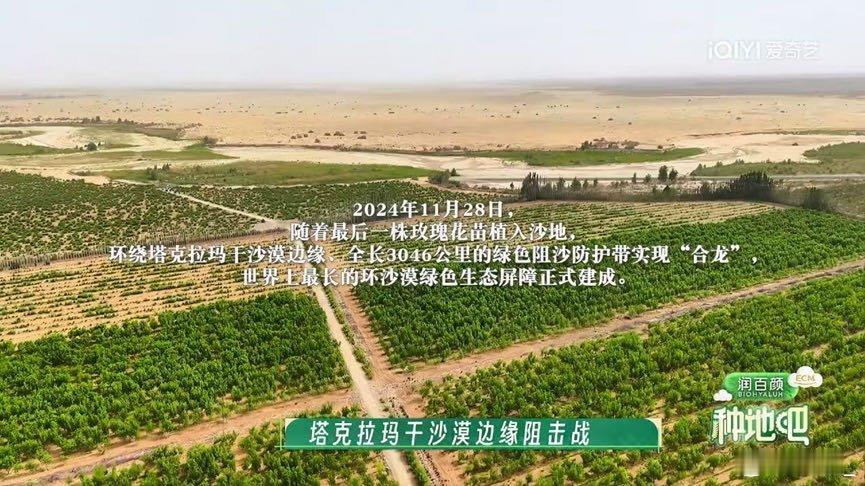 跟着十个勤天看沙漠种花 踏塔克拉玛干黄沙，十个勤天扎根于田，开挖沟渠、铺设水管