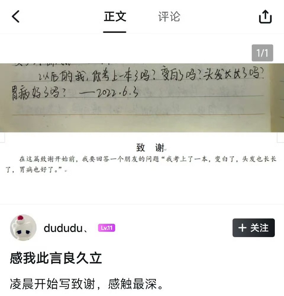 好苦逼啊这个AI查重率…