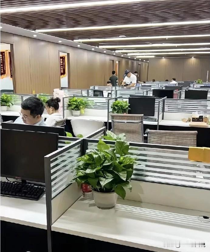 技术支持部上个月高分转正的新员工，这个月就被部门给了个C[捂脸哭]在做绩效反馈