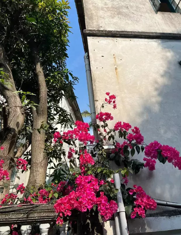 姚晨晒出一组在厦门赶海的照片，女儿小茉莉背影已亭亭玉立。​​​