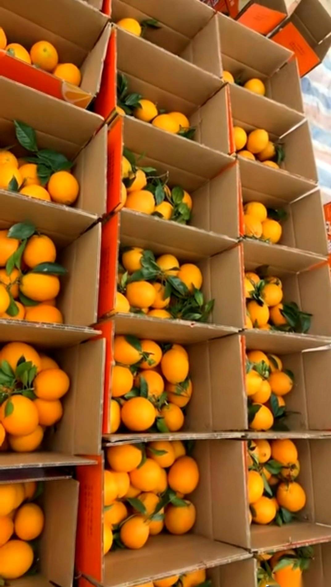 他说厂里发福利，要100箱橙子。我高高兴兴打包发货，7000块的货，现在基本打