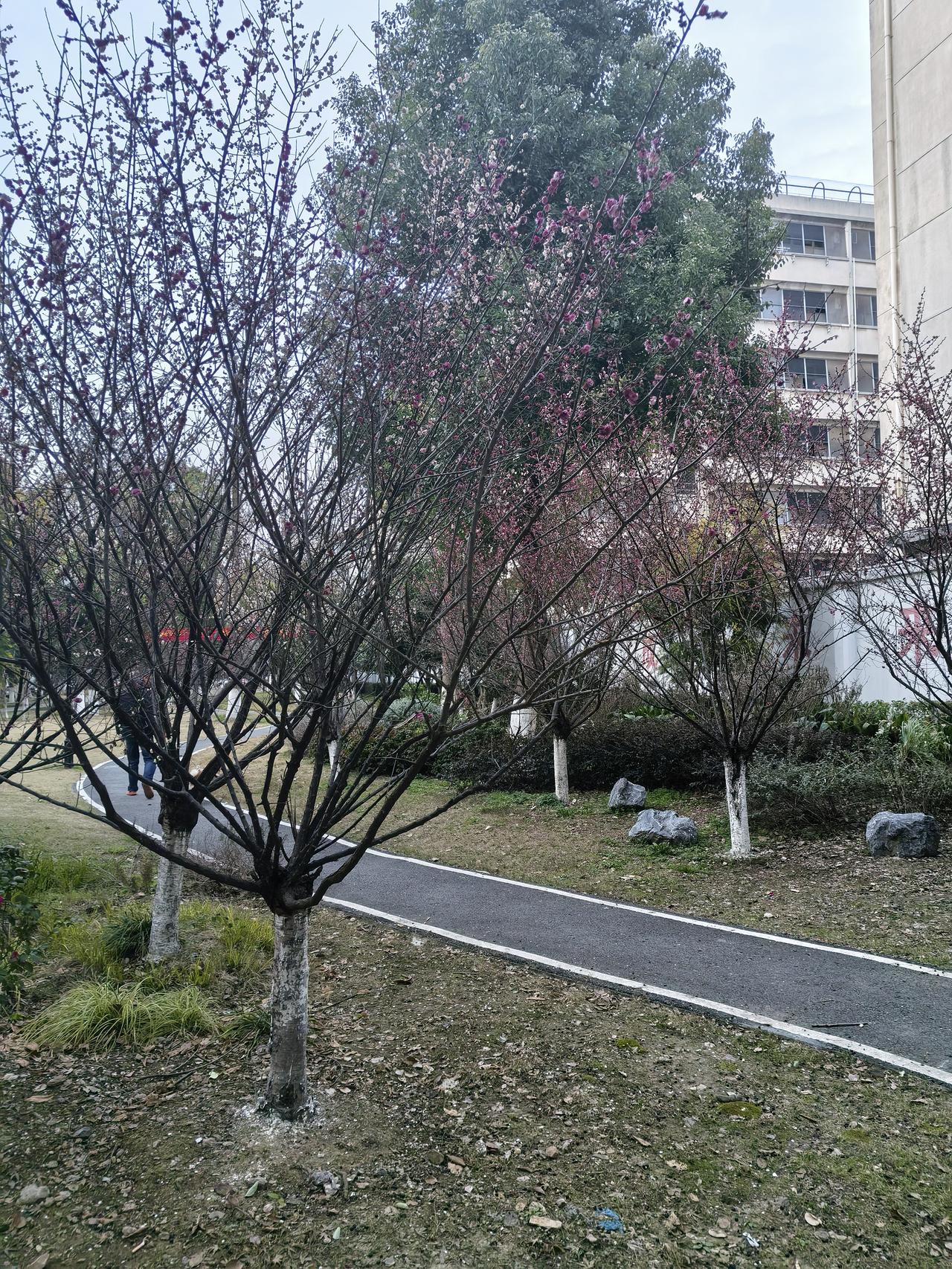 今天27后天就除夕，上面还在死命要我们催收，天天逼着打电话给业主，果不其然，被人