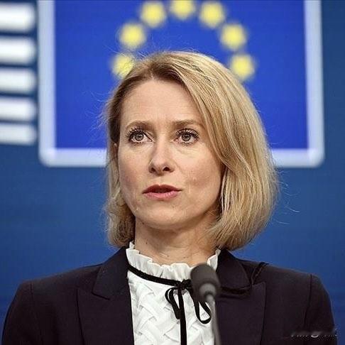 终于有人看不下去欧盟这些蠢女领导人了。斯洛伐克总理菲佐要求解雇欧盟外交与安全