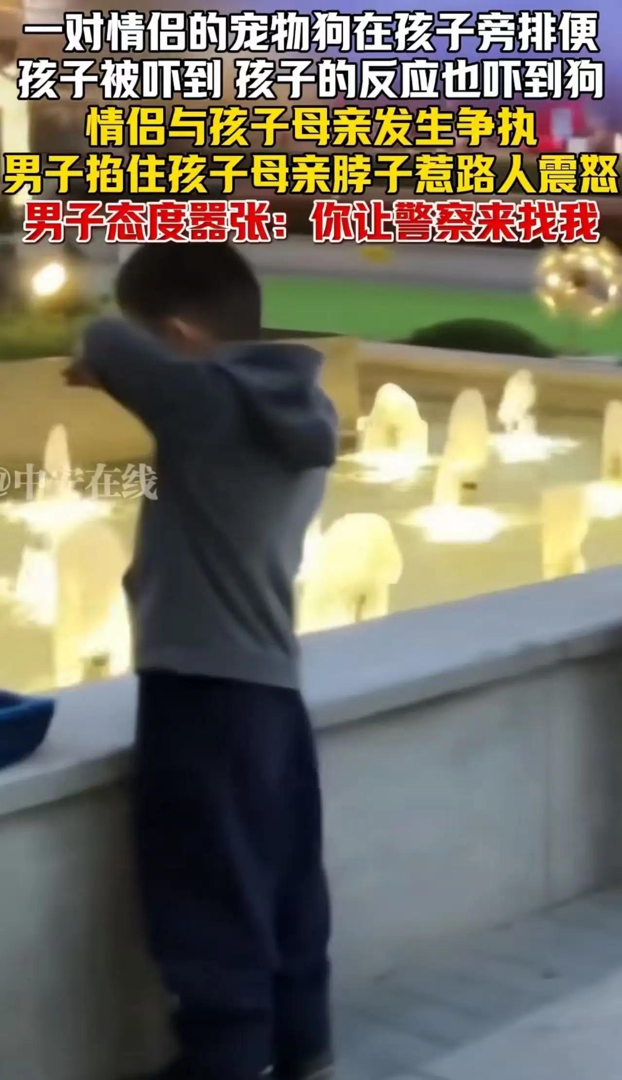 撕开偏见标签，直抵人性褶皱那句“把狗当孩子的人没人性”，像一把钝刀——