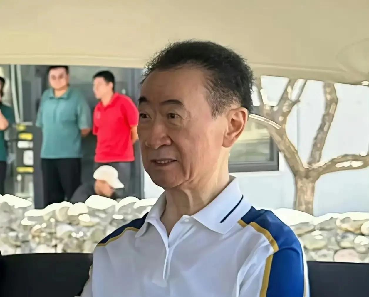 让王健林难过的不是卖掉了85个万达广场，也不是被限高消费。而是他的儿子王思聪，