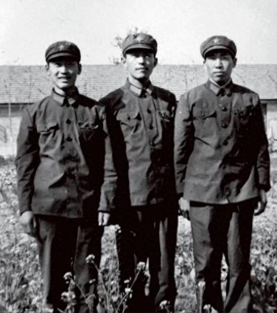 1981年底，提干失败的阎连科办好退伍证后回了老家嵩县。一天，他正在田里播种小