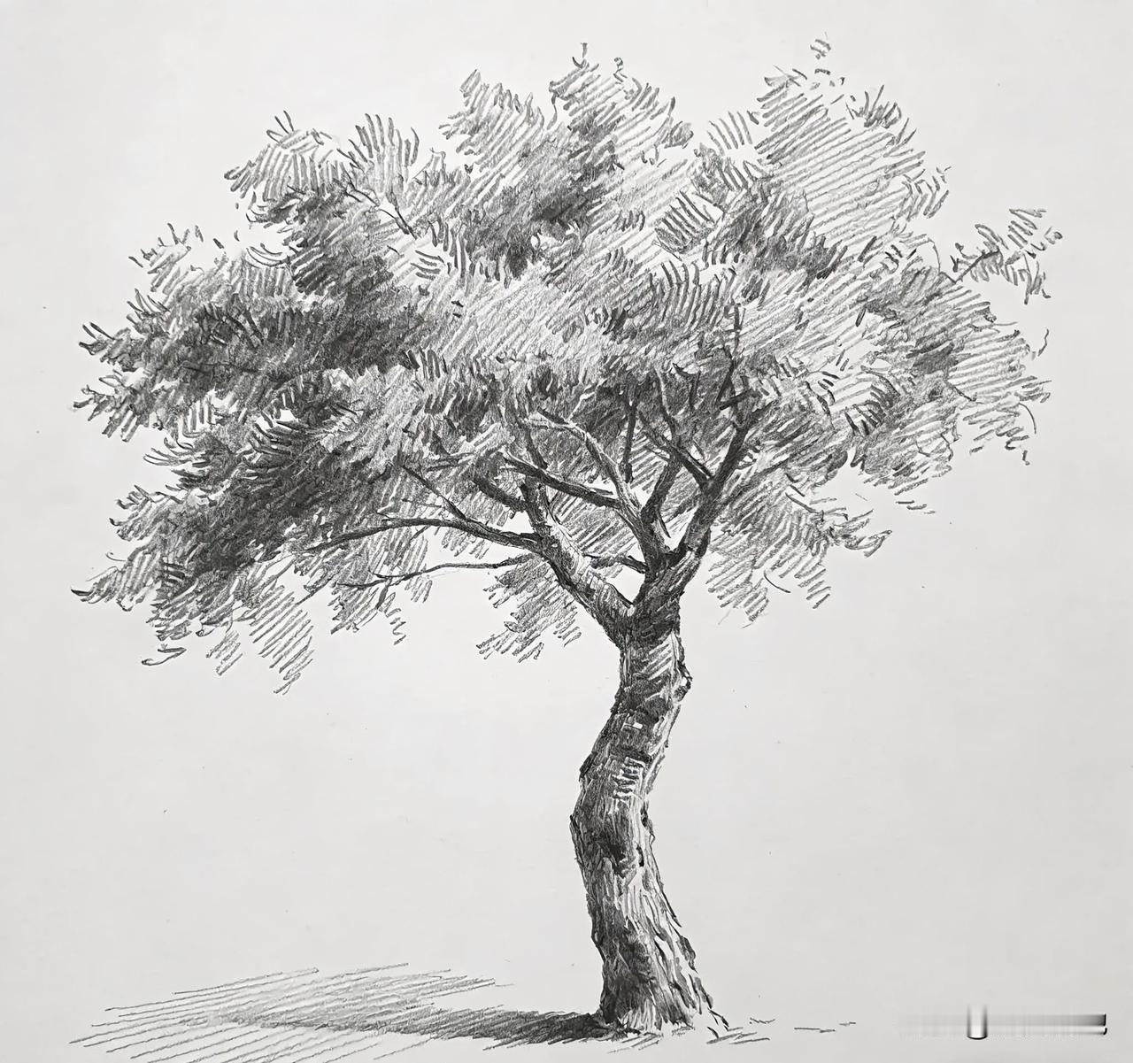 曾仕强说：“情绪是最大的敌人，能掌控情绪的人，才能掌控人生。”多少人因为情