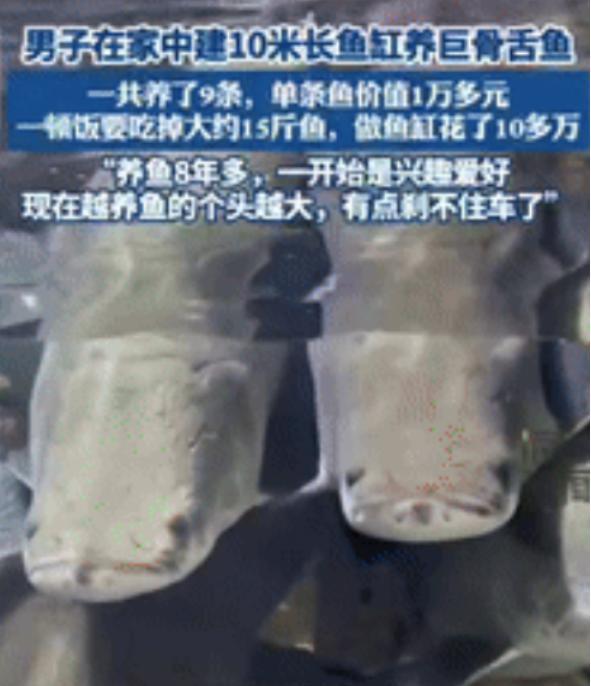 “有钱人真会玩！”2025年5月20日发布，山东滨州，一男子在家中建10米长鱼缸