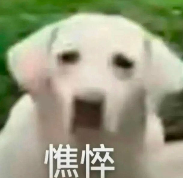 刚刚一个北京小米之家的销售打电话过来，说之前我在他们家买过K80，最近K10