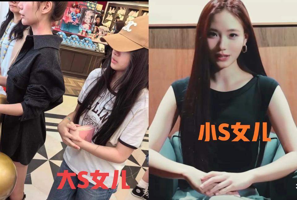 小S和大S养女儿，有一点差别最大，也最让人费解！你看小S生了三个女儿，最近二女