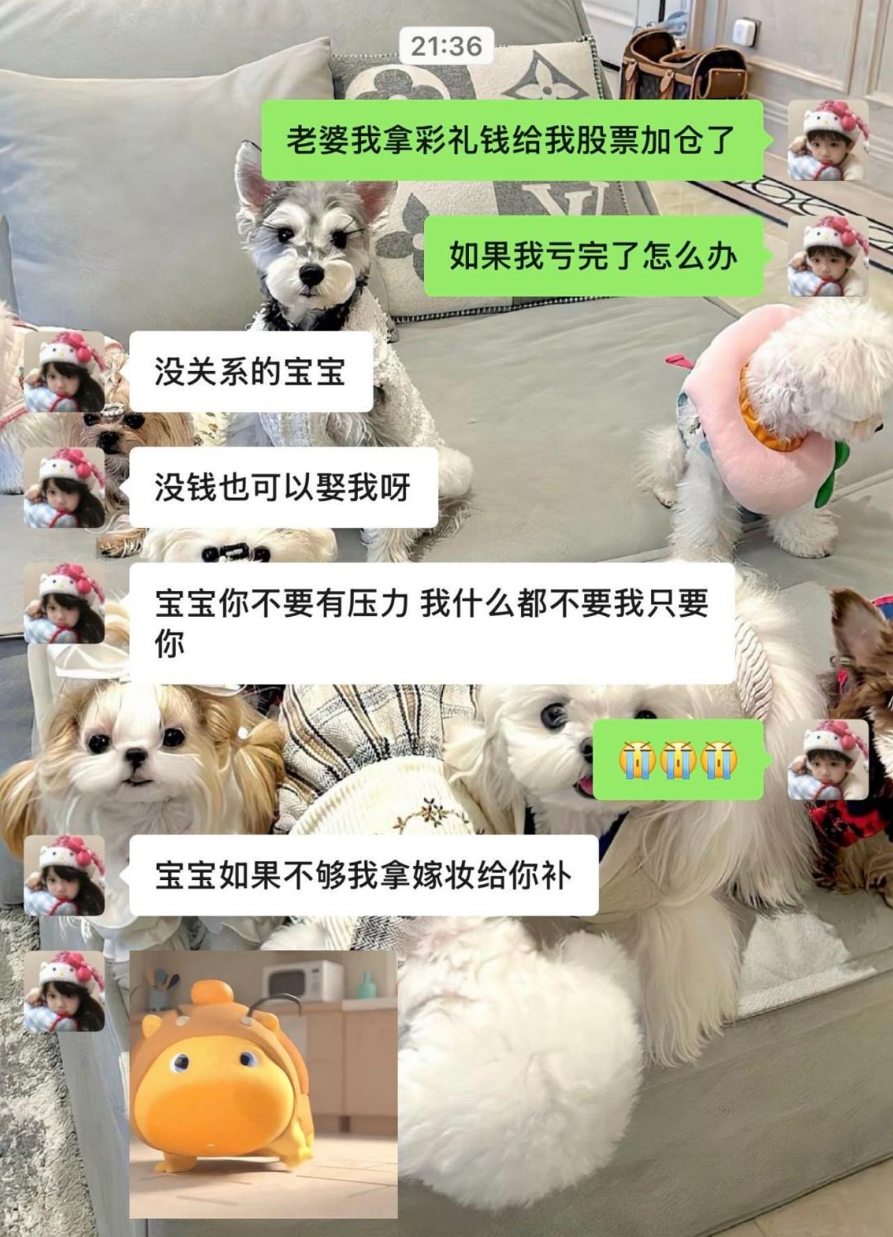 真的会有这种女朋友？小伙胆大包天把彩礼钱全砸去股票加仓，提心吊胆跟女友坦白，问亏