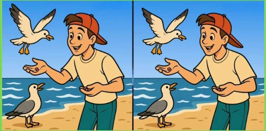 来找不同啦！两幅海边人与海鸥互动的图，乍看一模一样，实则暗藏3处差异。是人