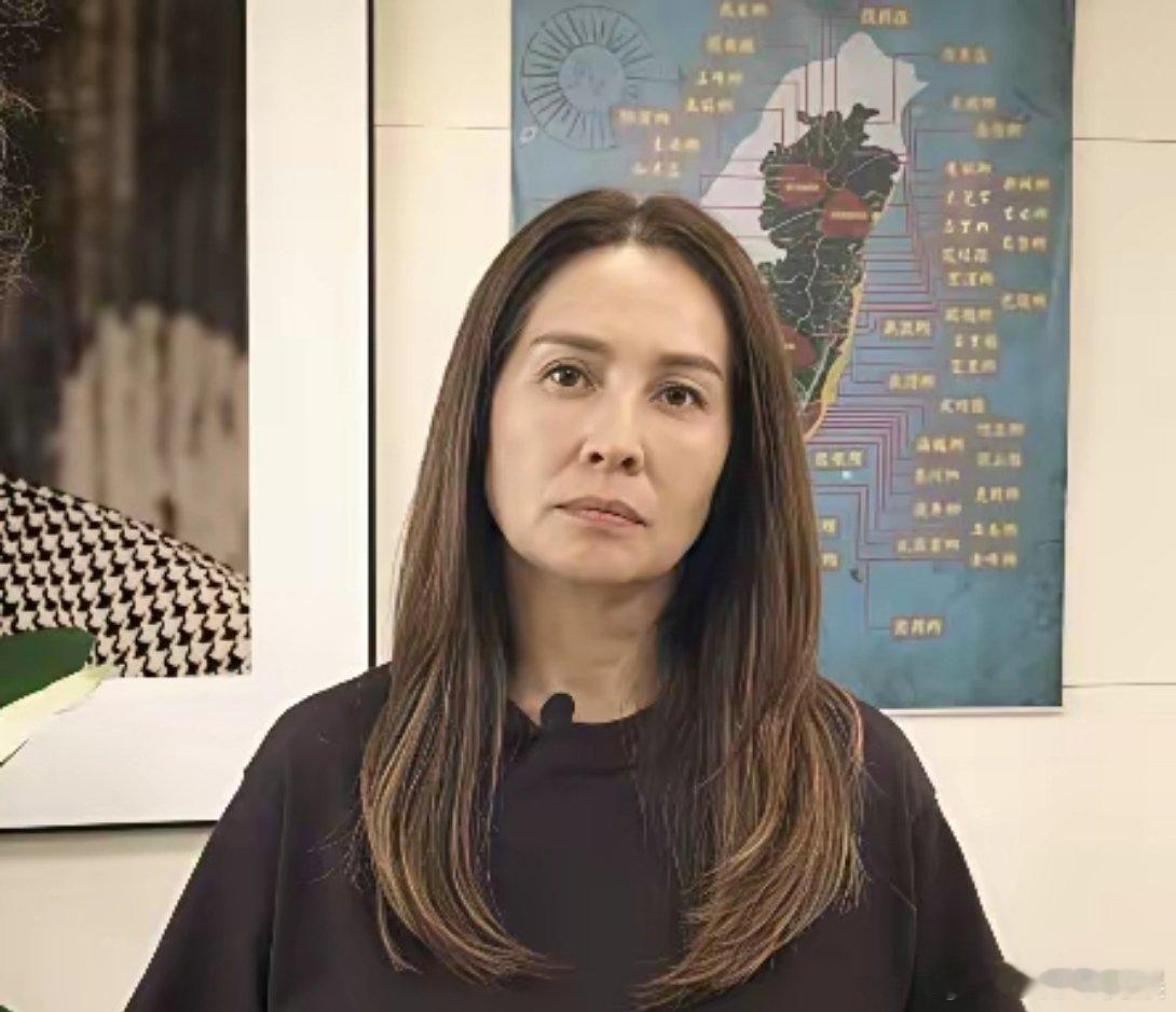 刷到高金素梅被抓视频，她戴着口罩，神情疲惫，身体很虚弱的样子……高金素梅原名金素